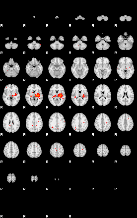 Patients 29106 98