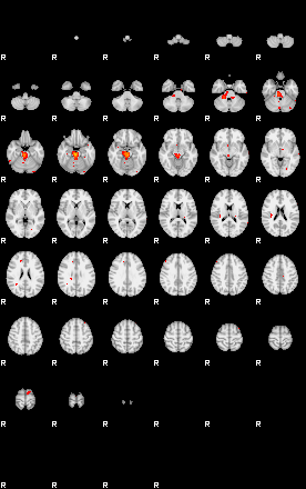 Patients 29154 77