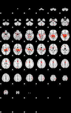 Patients 29207 141