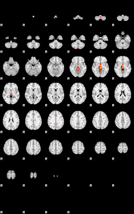 Patients 29400 145