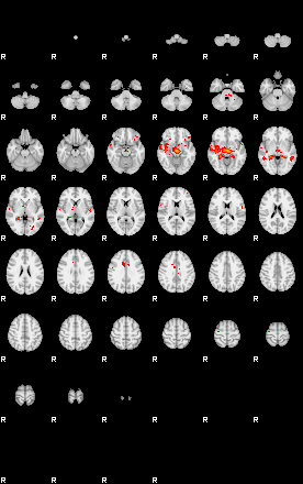 Patients 29481 91