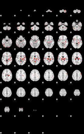 Patients 29509 48