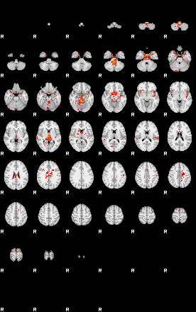 Patients 29559 164