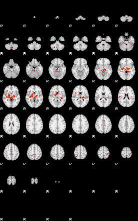 Patients 29730 153