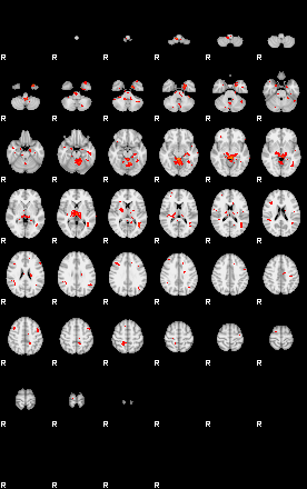 Patients 29731 73