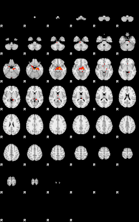 Patients 29410 105