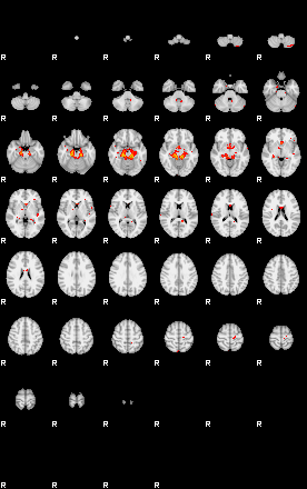 Patients 29449 14