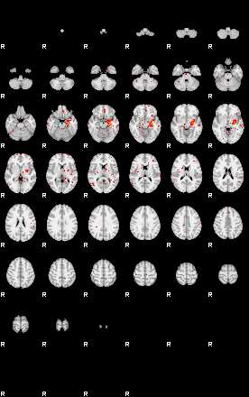 Patients 29502 157