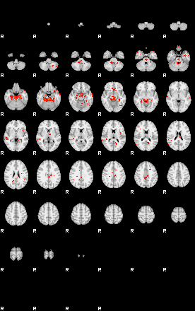 Patients 29591 135