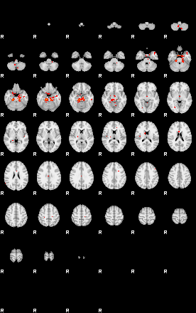 Patients 29798 15