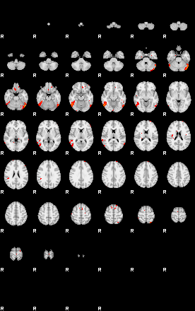 Patients 29151 135