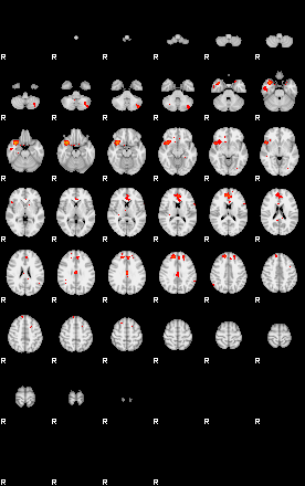 Patients 29160 81