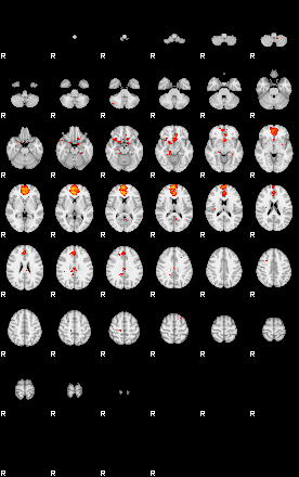 Patients 29676 66