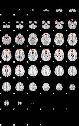 Patients 29797 66