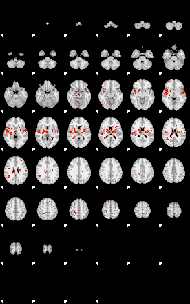 Patients 28810 141