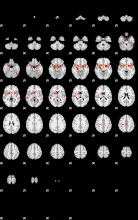 Patients 29157 48