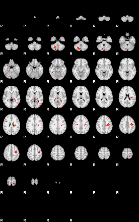 Patients 29159 63