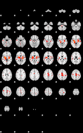 Patients 29204 131