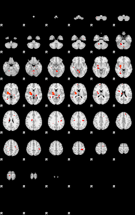 Patients 29206 157