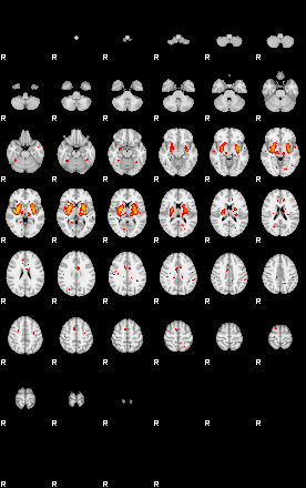 Patients 29218 49