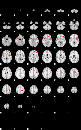 Patients 29344 81