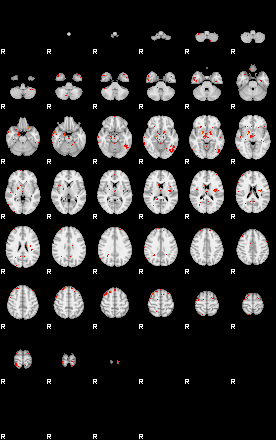 Patients 29511 82