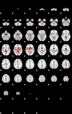 Patients 29559 159