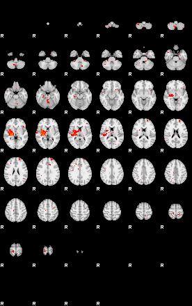 Patients 29666 70