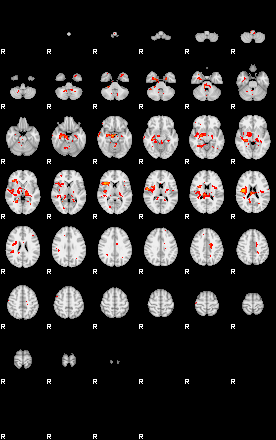 Patients 29731 199