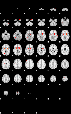 Patients 29735 135