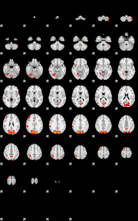 Patients 29665 12