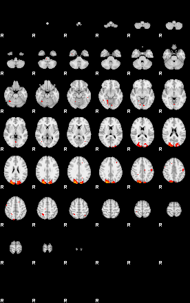 Patients 29795 13