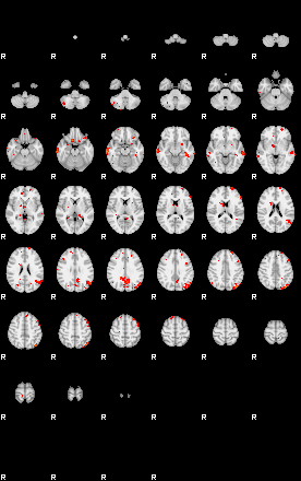 Patients 29053 132