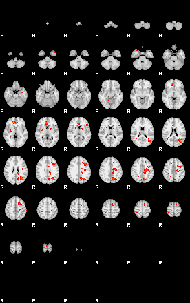 Patients 29065 130