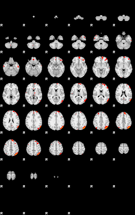 Patients 29101 14