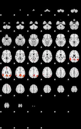 Patients 29102 73