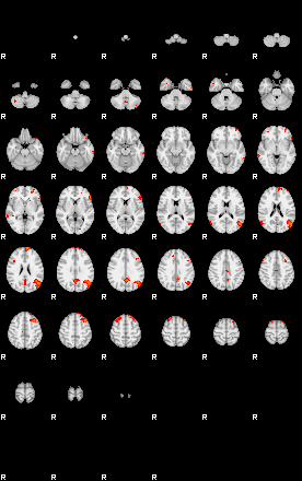 Patients 29109 96