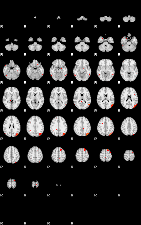 Patients 29153 18