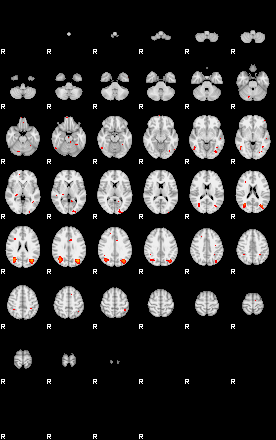 Patients 29172 166