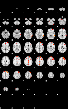 Patients 29205 110