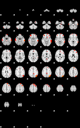 Patients 29206 19