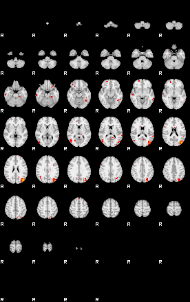 Patients 29217 123