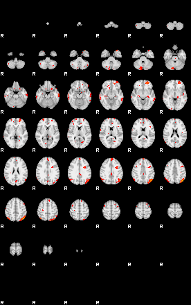 Patients 29730 48