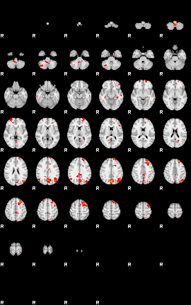 Patients 29735 12