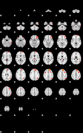 Patients 29797 14