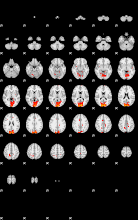 Patients 29153 169