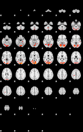 Patients 29417 156