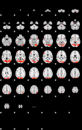 Patients 29619 21