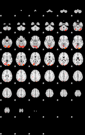 Patients 30017 12