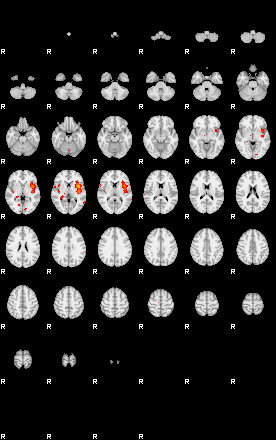 Patients 29116 124